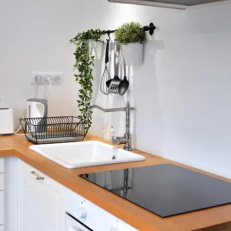 Daire L'authentique De La Petite Venise Colmar