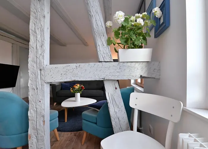 アパート L'authentique De La Petite Venise コルマール